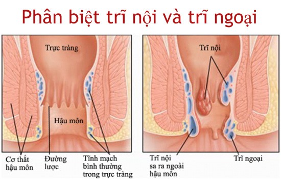 phan-biet-tri-noi-va-tri-ngoai-nhu-the-ngoai_1